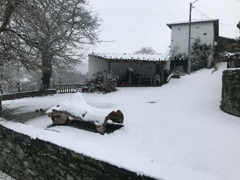 Casa Do Passal Guest House Bragança Eksteriør bilde